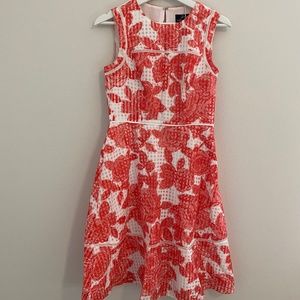 Adrianna Papell Floral Print A-Line Dress